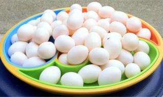 鸽子蛋怎么吃最营养 给老人做鸽子蛋怎么做有营养